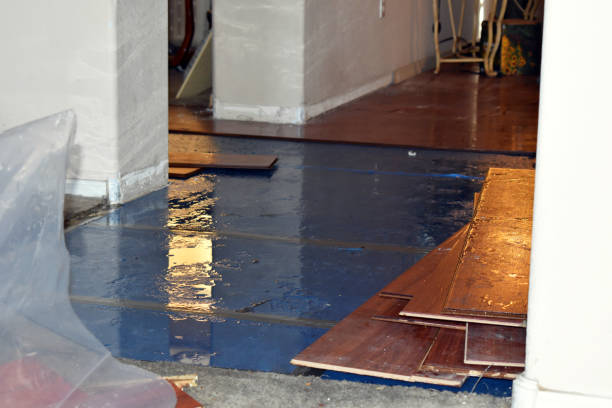 Professional Basement Water Removal technician working in South Boston, MA